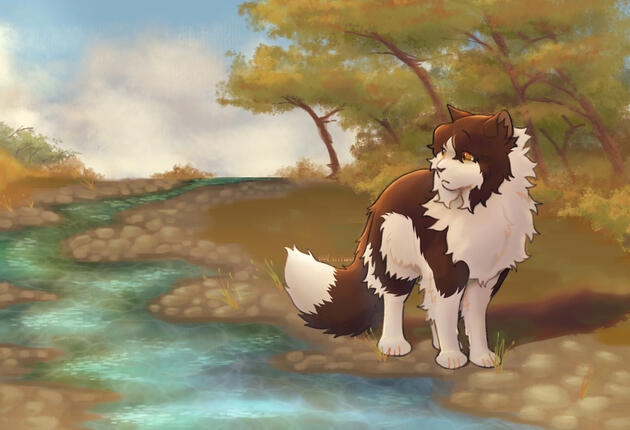 full + detailed background